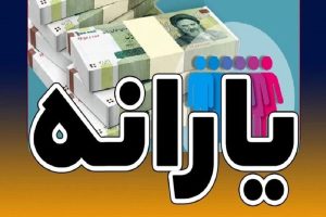 یارانه نقدی، حذف یارانه