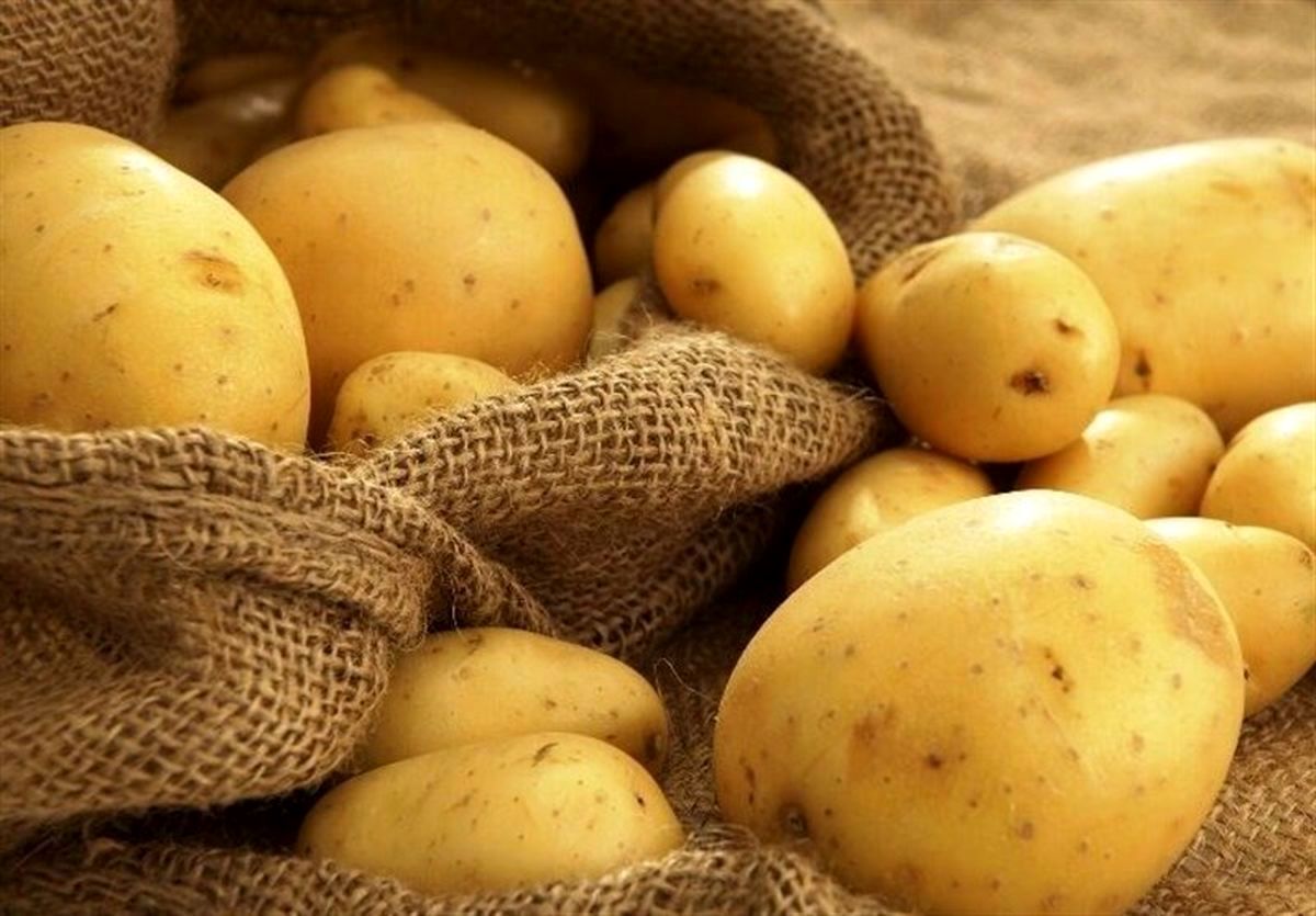 سیب زمینی سلطان افزایش قیمت‌ها در دولت چهاردهم