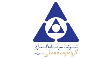 سرمایه گذاری گروه توسعه ملی