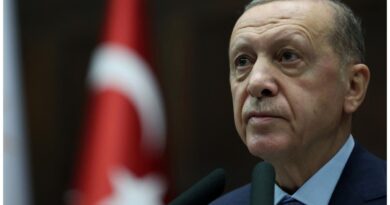 اردوغان