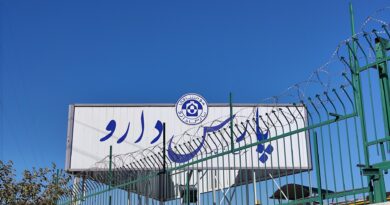 پارس دارو، دپارس