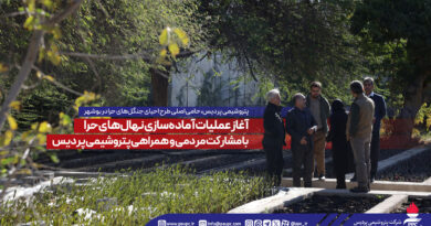 پتروشیمی پردیس