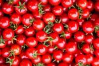 جهش قیمت گوجه فرنگی از ۱۵ تا ۵۰هزار تومان