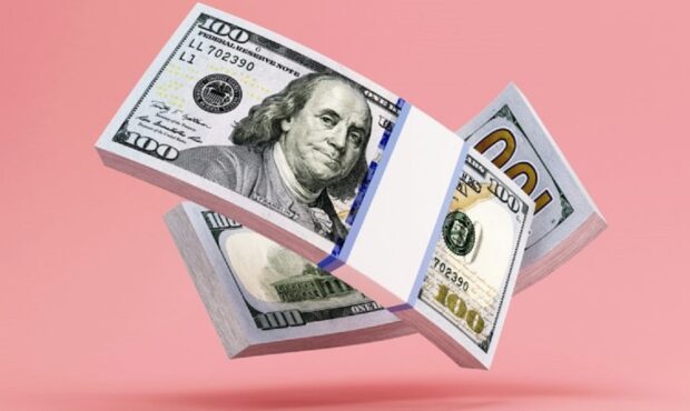 قیمت دلار امروز 8دی 1404/ تب بازار فروکش کرد