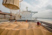 کلکسیون رانت در بازار نهاده های دامی کلکسیون رانت در بازار نهاده های دامی