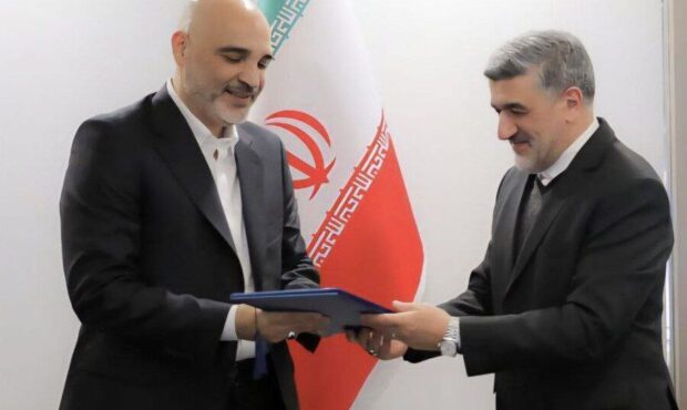 سید علی‌رضا عظیمی‌پور معاون اجرایی سازمان بورس شد