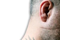 بازار داغ شرخرها در فضای مجازی