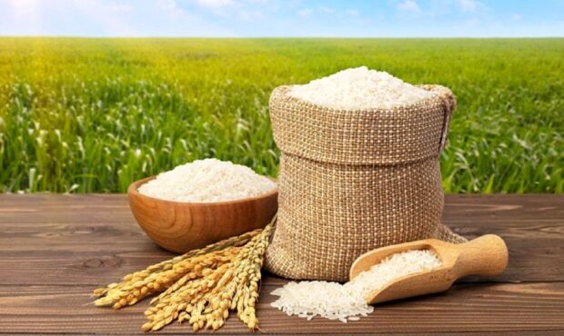 قیمت جدید برنج ایرانی در بازار