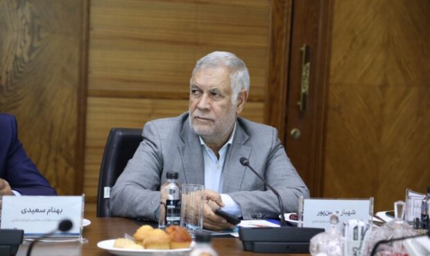 شهباز حسن‌پور: گروه مالی گردشگری با سرمایه‌گذاری در کرمان، الگویی موفق از نقش‌آفرینی بخش خصوصی در توسعه استان است